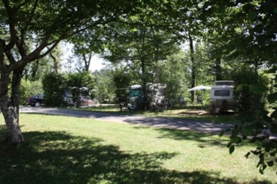 Pitch for Tent (grassy ground)
