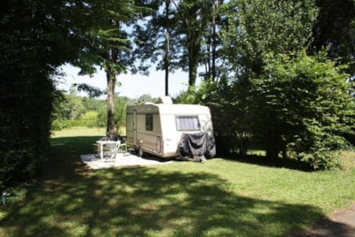 Pitch for Tent (grassy ground)