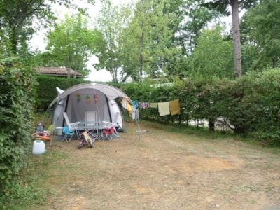 Pitch for Tent (grassy ground)