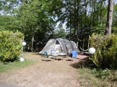 Pitch for Tent (grassy ground)
