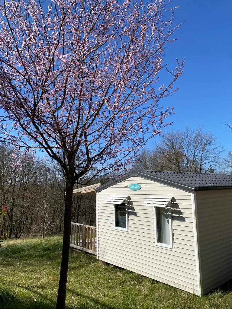 Familial Classic Ohara 784 3Ch