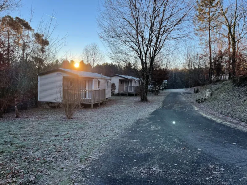 Familial Classic Ohara 784 2 Ch