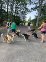 Foto #30 van Camping La Fage