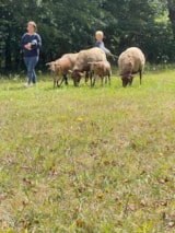 Foto #48 van Camping La Fage