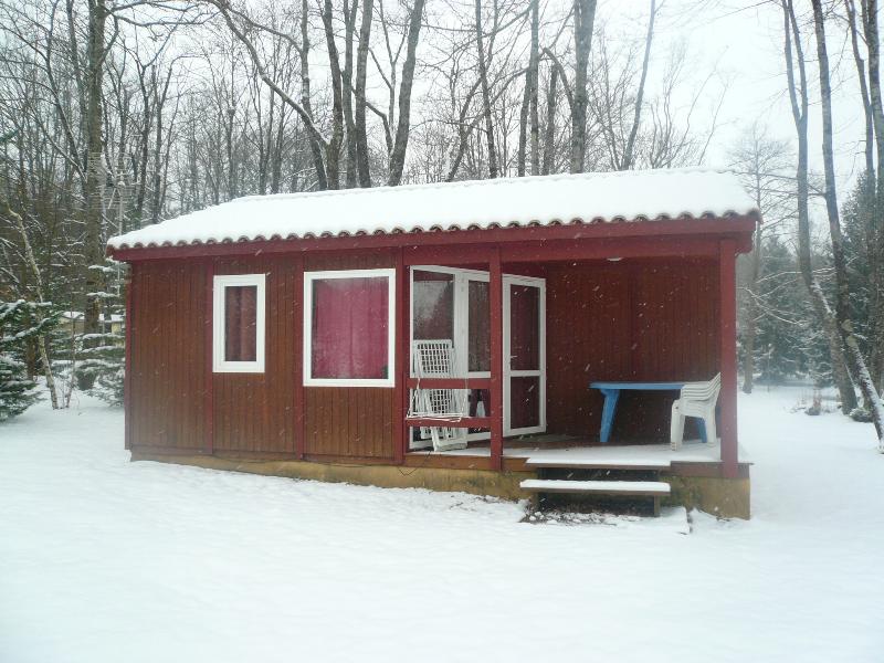 Accommodation - Wooden Chalet (4.80 X 7.30 M) + Covered Wooden Terrace - Camping du Domaine de Maillac