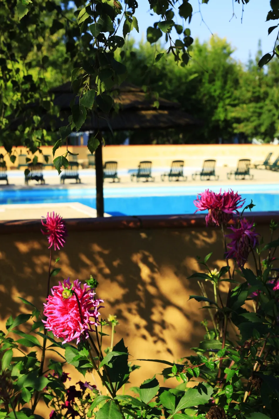 Camping Le Perpetuum