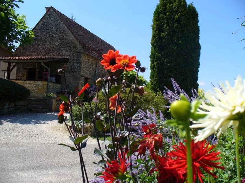 Camping LES TERRASSES DU PERIGORD - image n°3 - UniversalBooking