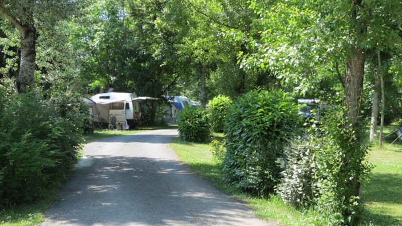 Camping Le Bosquet - Camping - Domme