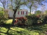 Malaga Trio - 3 Chambres - 6 Personnes - 30 M2 (+ Terrasse Semi Couverte 8 M2) Malaga Trio - 3 Chambres - 6 Personnes - 30 M2 (+ Terrasse Semi Couverte 8 M2)