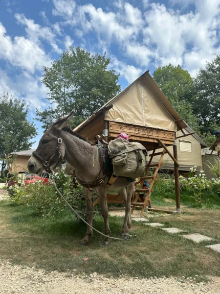 Kampeerplaats(en) - Bivak Op Palen - Met 10A-Elektriciteit - Camping les Cinq Châteaux