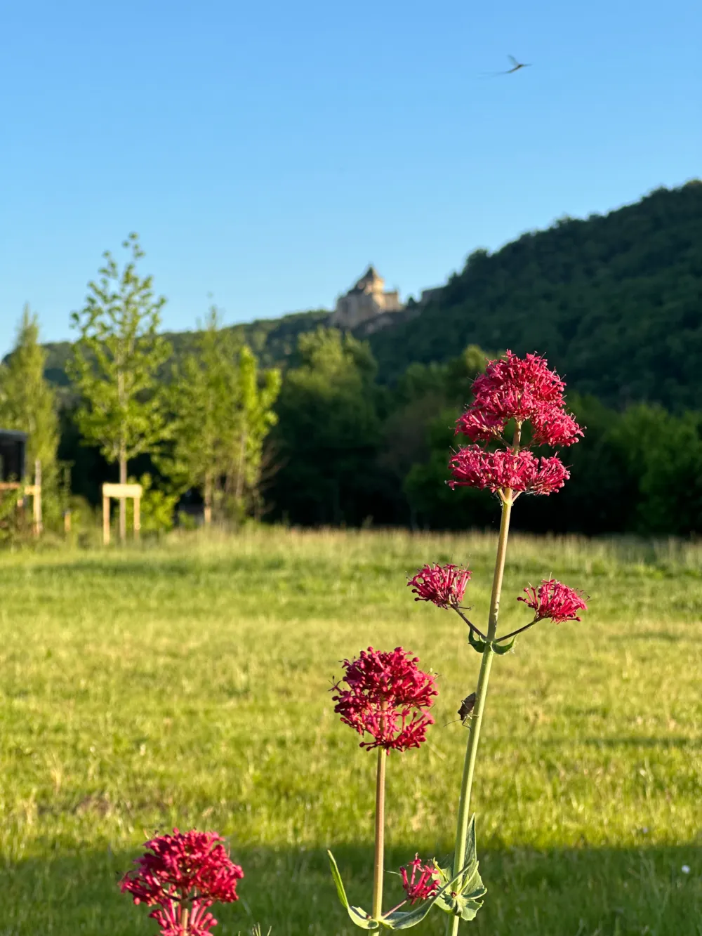 Camping les Cinq Châteaux