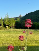 Foto #7 van Camping les Cinq Châteaux