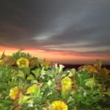 Foto #21 van Camping Le Daguet