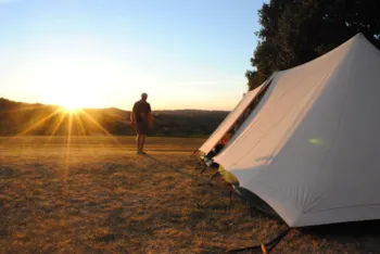 Stellplatz - Stellplatz - - Camping Le Daguet