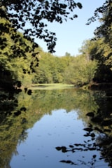 Foto #51 van Camping La Peyrugue