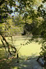 Foto #52 van Camping La Peyrugue