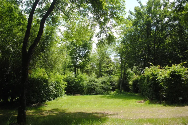 Forfait Emplacement Avec Electricite  (1 Véhicule Par Emplacement)