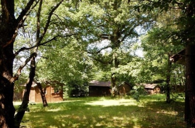 Alpille Chalet — 3