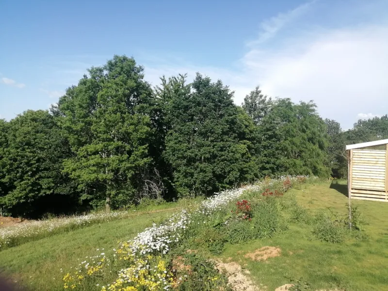 Mobil-Home Venezia 2023, Clim, Lave-Vaiss. Animal Non Accepte