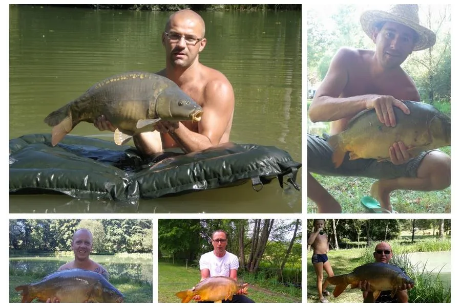 CAMPING LE VERDOYANT