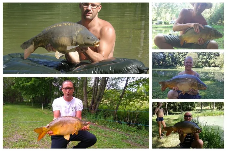 CAMPING LE VERDOYANT