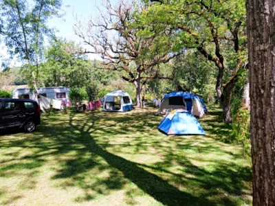 Pitch  (tent , caravan or camping-car) +1 car + 1 people — 4