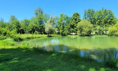 CAMPING LE VERDOYANT
