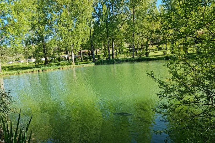 CAMPING LE VERDOYANT