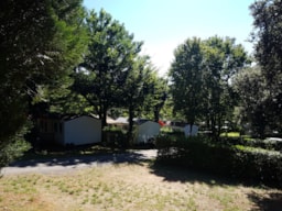 Camping le Pigeonnier - image n°3 - Roulottes