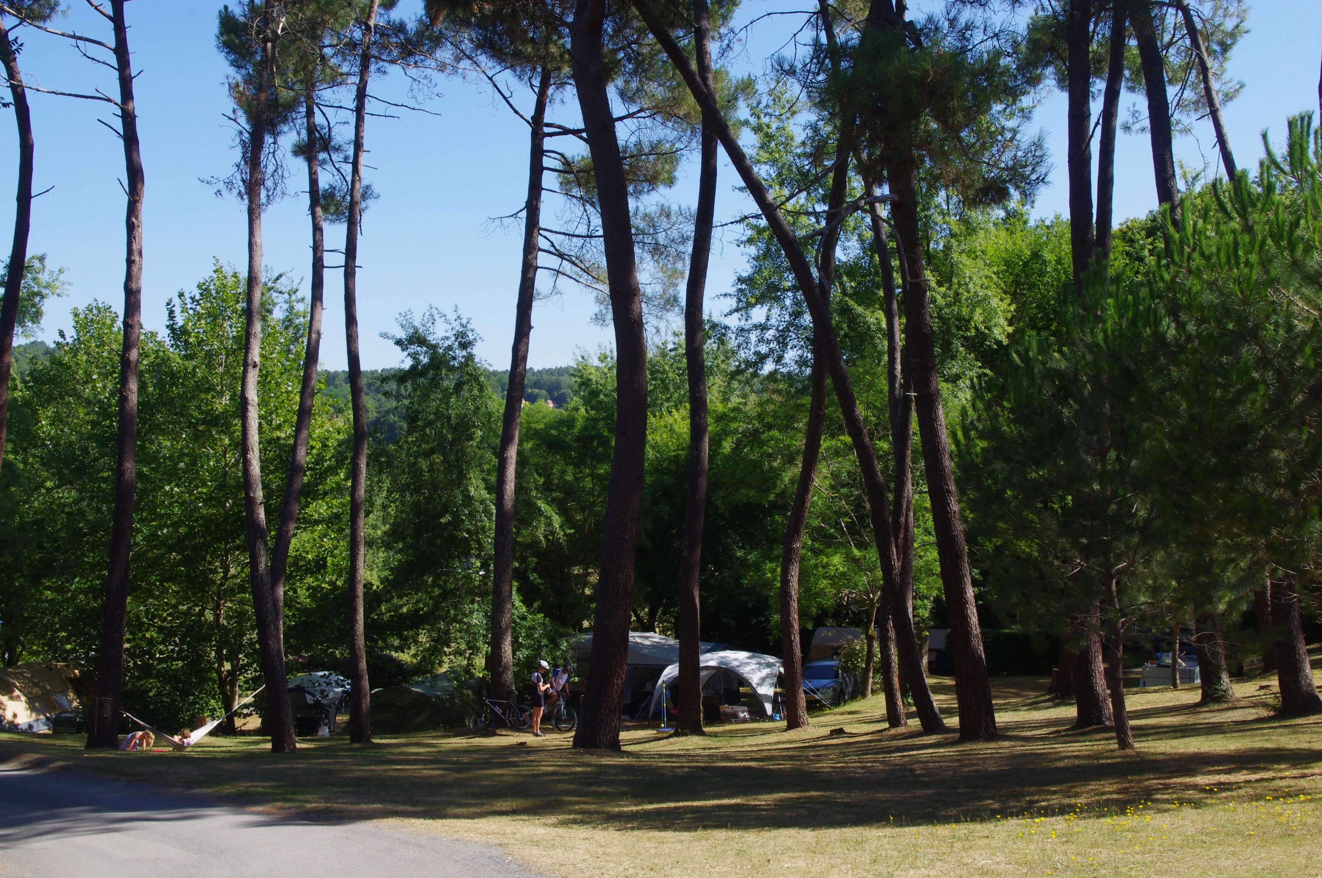 Emplacement - Emplacement Standard Forêt (N°9 À 13 Et 20 À 40) 80 À 120 M2+ Électricité - Camping Les Valades
