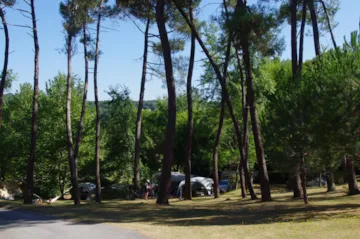 Kampeerplaats(en) - Parcel·La Standard Forest - Inspire Villages | Séveilles