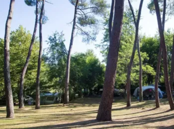 Emplacement - Emplacement Confort - Slow Village | Séveilles