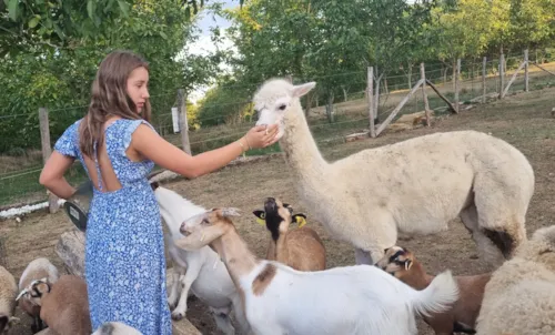 La Ferme de Villeneuve - Nuova Aquitania - Immagine n°3 La Ferme de Villeneuve - Nuova Aquitania - Immagine n°3