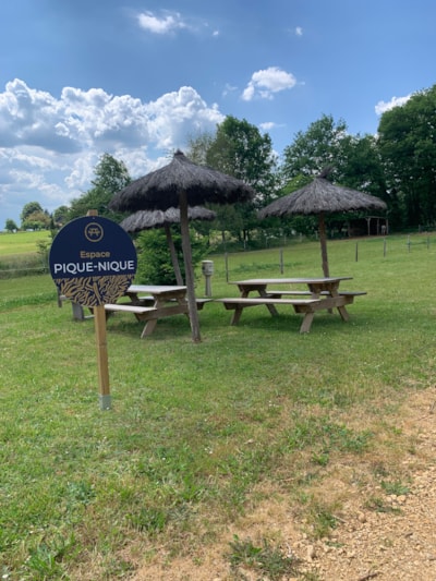 Camping Site