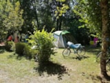 Foto #4 van Camping La Lenotte