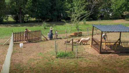 CAMPING LA LENOTTE  - image n°3 - Camping Direct