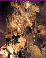 Foto #28 van Le Moulin de Surier – MAEVA Respire