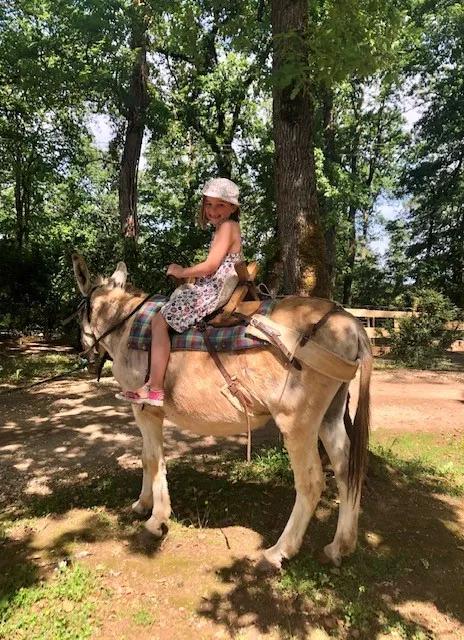 Camping Le Pech Charmant