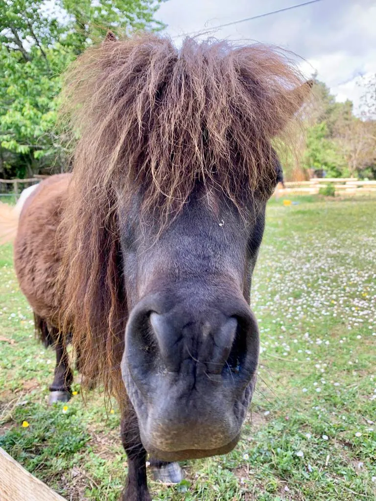 Camping Le Pech Charmant