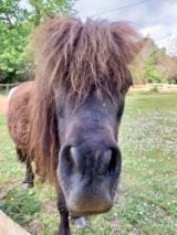 Foto #35 van Camping Le Pech Charmant