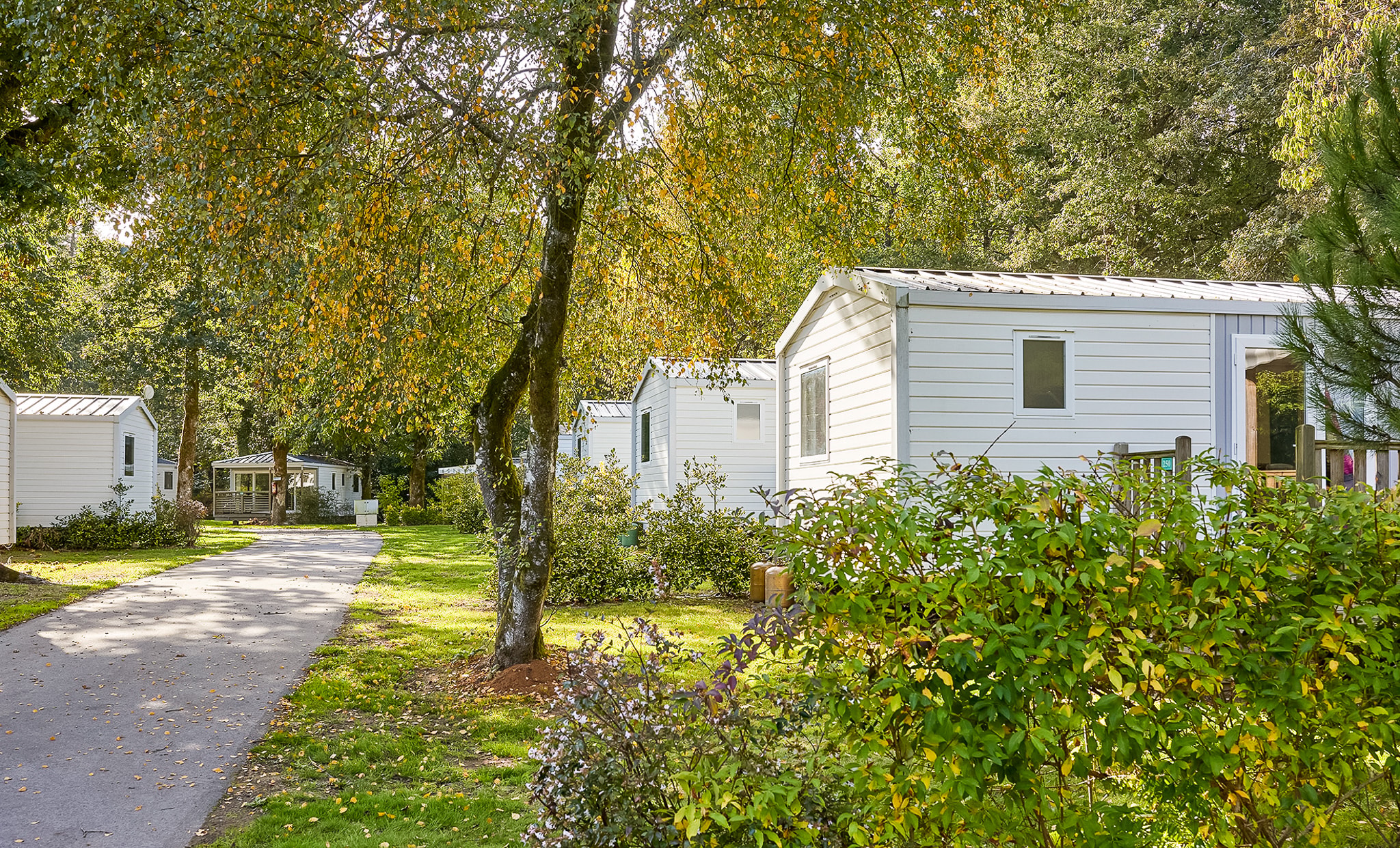 Camping Les Jardins du Morbihan  — Photo 3