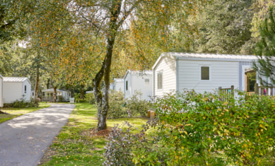 Camping Les Jardins du Morbihan 