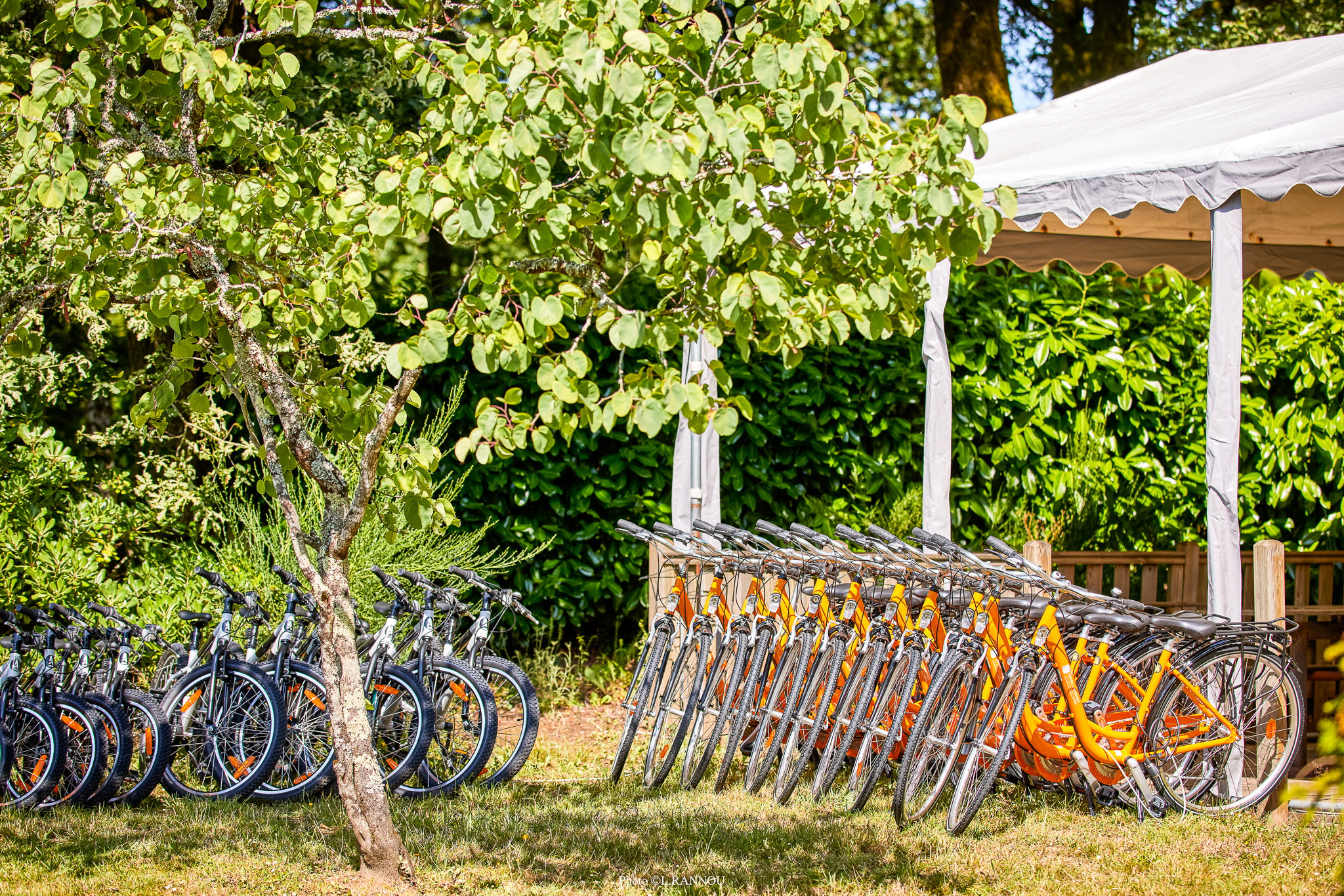Camping Les Jardins du Morbihan  — Photo 9