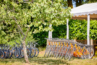 Camping Les Jardins du Morbihan 