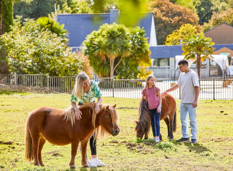 Camping Les Jardins du Morbihan 