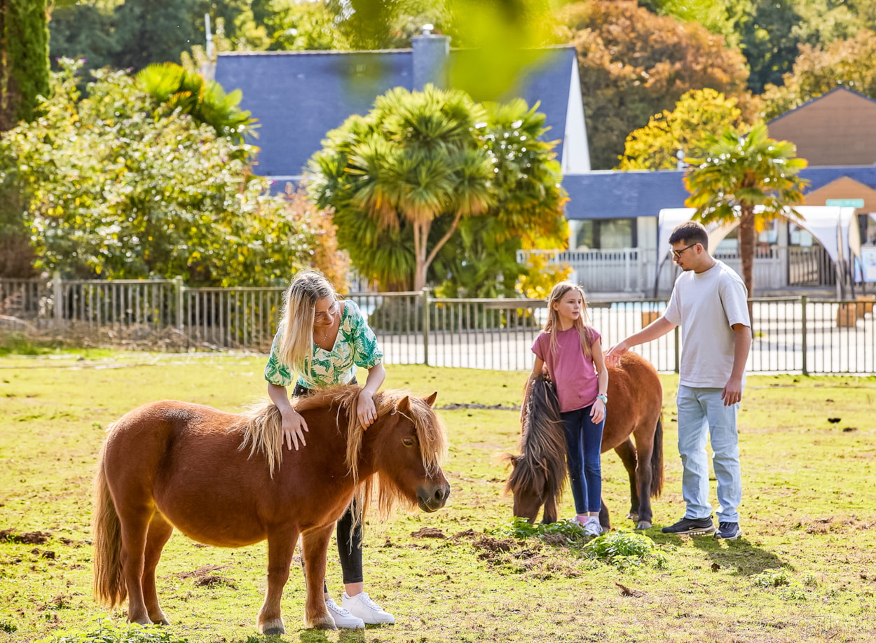 Camping Les Jardins du Morbihan 