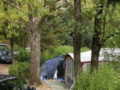 Camping L'Orée des Cévennes