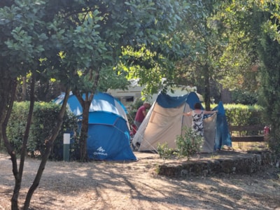 Camping pitch — 6