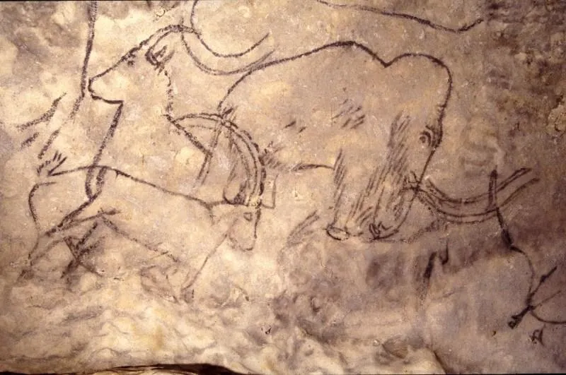 Camping La Nouvelle Croze - image n°30 - UniversalBooking