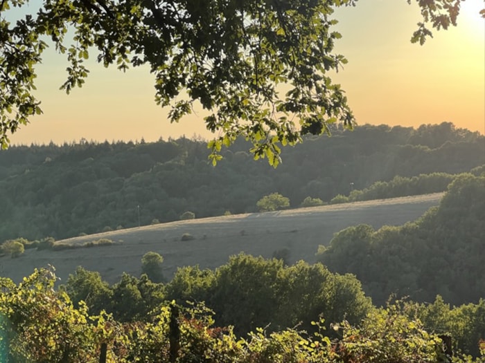 Eco-Lodge Premium Sur Pilotis Avec Vue